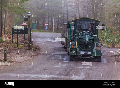 The Land Train At Center Parcs Longleat Wiltshire England United