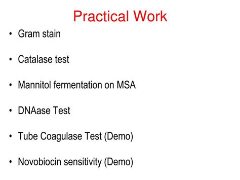 Ppt Practical Medical Microbiology Pht313 Powerpoint Presentation