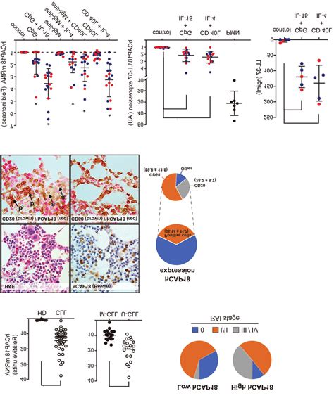 Hcap18ll 37 Expression In Chronic Lymphocytic Leukemia Cells A Left