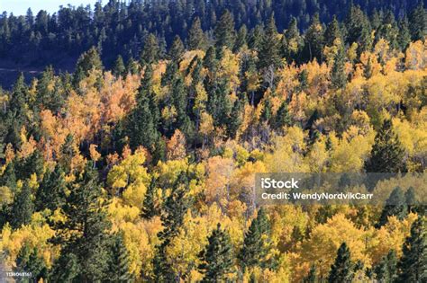 Brilliant Fall Colors Scenic Byway 12 In Utah Is One Of The Most Scenic