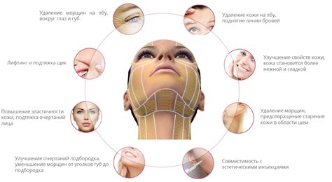 Процедура Smas лифтинг вернет естественность и гармонию - Исамутдинова ...