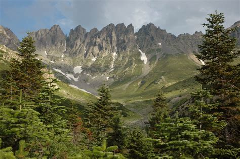 Doğu Karadeniz Dağları Doğa Derneği