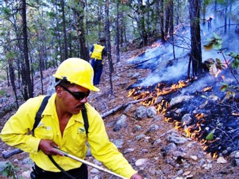 Se Han Combatido 221 Incendios Forestales De Enero A La Fecha