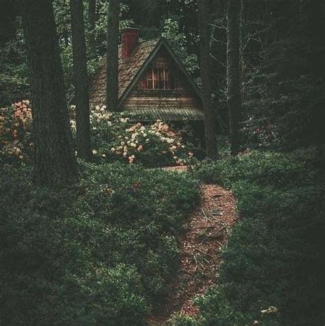 Woodland Goth Aesthetics Wiki Fandom