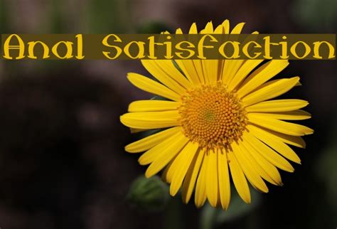 Anal Satisfaction Font FFonts Net