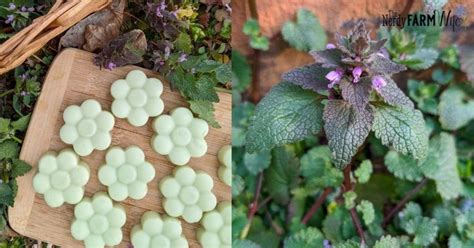The Nerdy Farm Wife Website Lotion Bars Diy Skin Soap Making Recipes