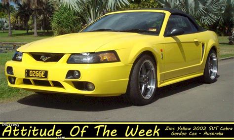 Zinc Yellow 2002 Ford Mustang Svt Cobra Convertible