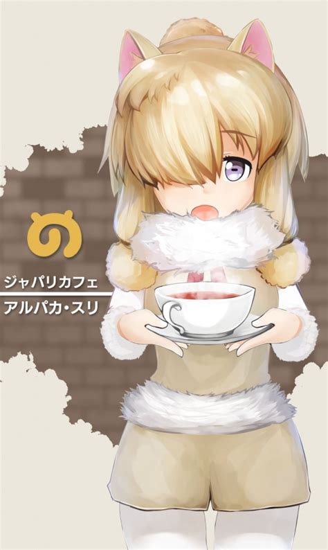 人気商品の カフェの店員 アルパカ スリ R 4枚 ヴァイス Ws けものフレンズ