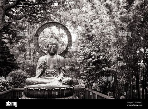 The Buddha Statue In Japanese Tea Garden San Francisco Stock Photo Alamy