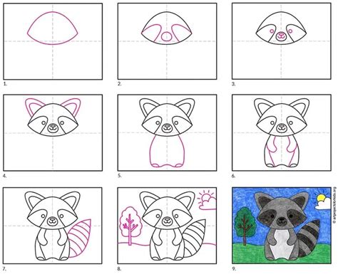 How To Draw A Raccoon Step By Step For Kids