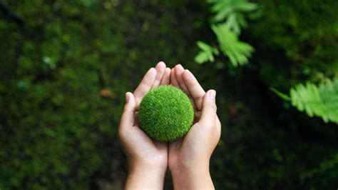 Financing et CSR Celize | Urban Dress Up Rental and Buyback