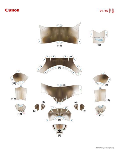 CNT 0024575 01 | PDF