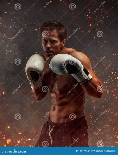 Fighter With Naked Torso Poses In Studio Stock Image Image Of Boxing Model
