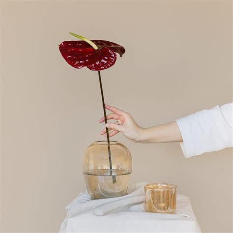 Couleurs Nude Guide Et Inspirations Pour Un Int Rieur Tendance Pure Maison