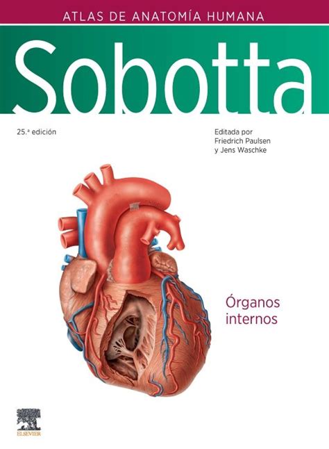 Sobotta Atlas de Anatomía Humana Volumen 2 en LALEO