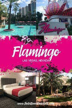 900+ Viva Las Vegas ideas | vegas baby, las vegas trip, vegas trip