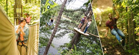 Go Ape Our Adventures Learn About Our Treetop Adventures