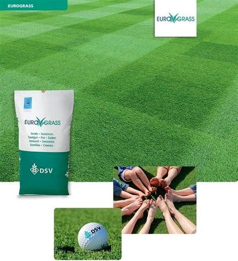Газонна трава DSV Eurograss Спортивна/Універсальна/Ліліпут Німеччина: 2 ...