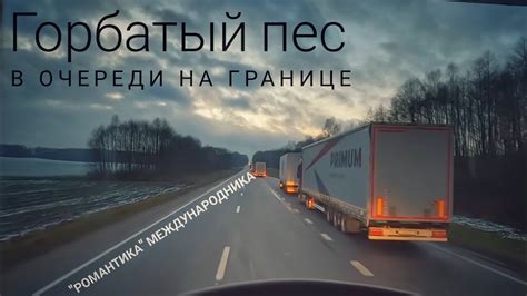 #427 "Романтика" международника/ "Горбатый" пёс в очереди на границе ...