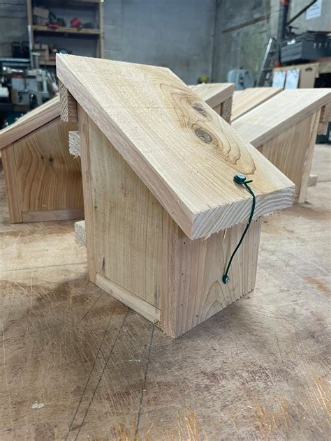 Dormouse Nest Box Linwood Timber Buy From Linwood Sawmill Dorset