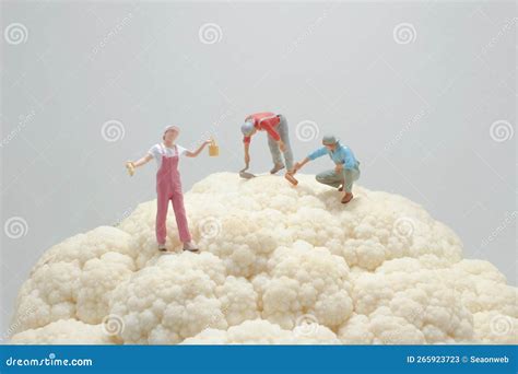 A Figures Paint Worker On Whole Cauliflower Vegetable Stock Image
