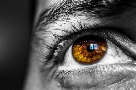 Посмотри В Глаза Картинка – Telegraph