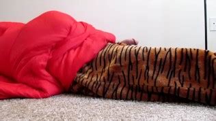 Tiger Fursuiter Vored Free Porn Videos YouPorngay