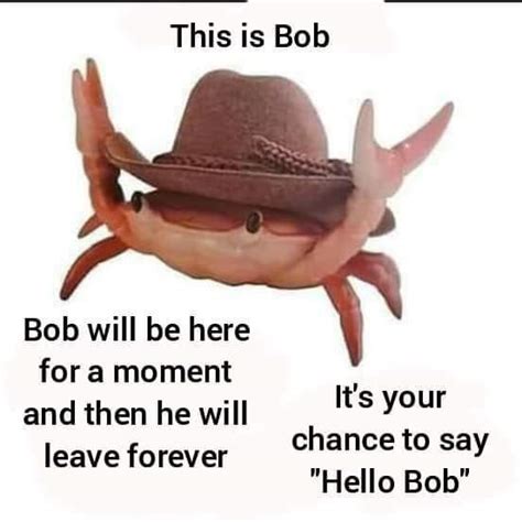 Bob This Is Funny