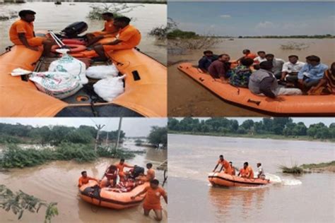 Rajasthan SDRF Rescues 161 People From Flood Affected Districts The