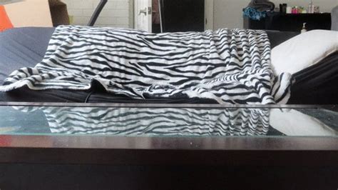 Cake Sitting Porn Videos Clips4sale