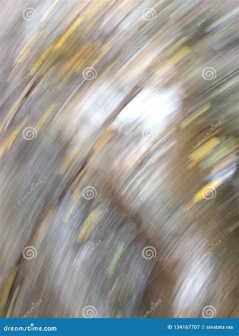 can fish shaking fast 5