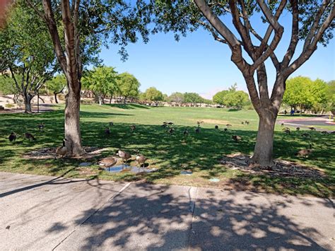Park Pueblo Park Reviews And Photos Peublo Vista Dr Las Vegas Nv