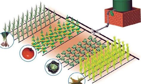 Автополив - Дизайн интерьера