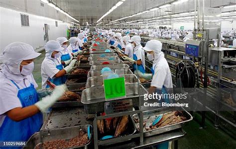 Tuna Factory Photos And Premium High Res Pictures Getty Images