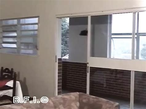 Jhenifer Eloisy TS Porn Videos Shemale Porn Star Sex Scenes XHamster