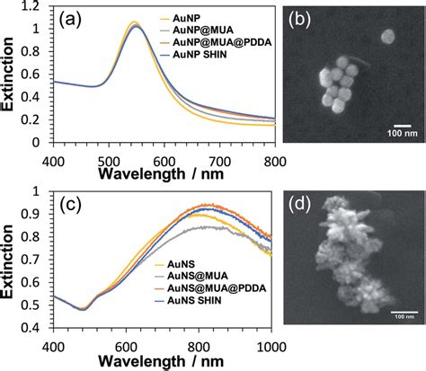 Uv Vis Characterization Of A Aunp And C Auns Shin Fabrication The