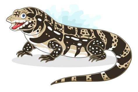 Argentine Tegu Stock Illustrations 7 Argentine Tegu Stock