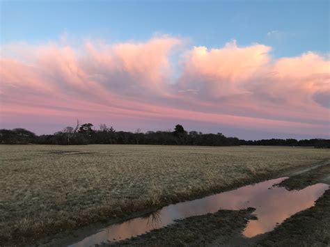 Latest Obituaries and Memorial Services from The Inquirer and Mirror 12