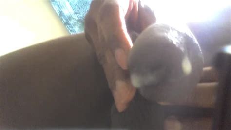 ICP HIPS Masturbates His Huge Lovely Dick And Shakes His Backside Pornhub Gay