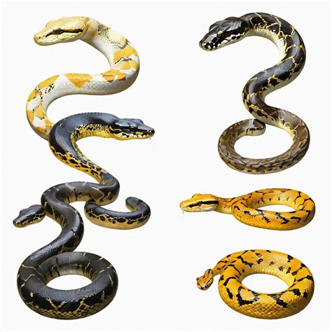 A group of snakes one called the number 2 the other is called the snake
