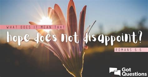 What Does It Mean That Hope Does Not Disappoint Romans