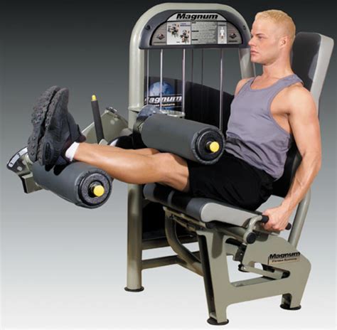 Leg Fitness Exercises on Equipment: Roman Chair | Leg Curls | Squats ...