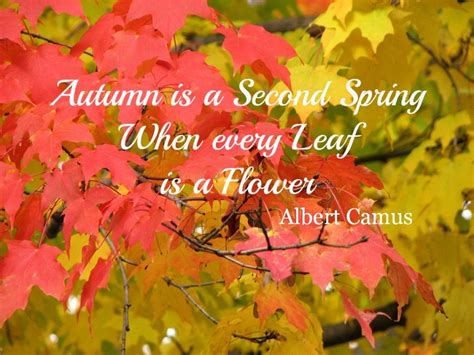 First Day Of Fall Quotes Autumn Quotes Season Quotes Fall Season Quotes