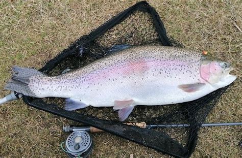 Graeme S Monster Rainbow From Loch Insch In February Which Was Almost