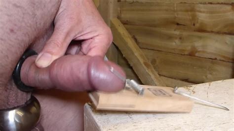 CBT Mouse Trap Gay Nude Porn Feat Useless Cock XHamster