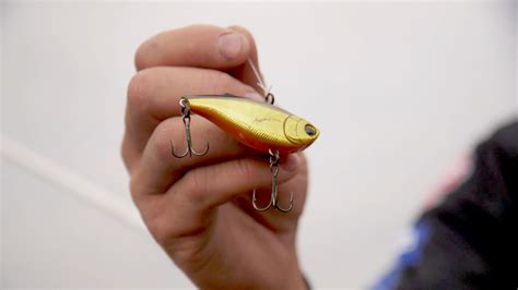 Bait Reasons Jason Lambert Covers Water With The Yo Zuri Duel Hardcore Flashi N Vibe