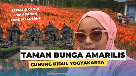 Mekar Setahun Sekali Bisa Secakep Ini Ada Di Jogja Taman Bunga