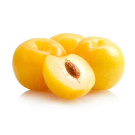 Yellow Plum – Biosphera