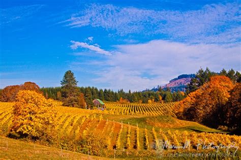 1000 Images About Willamette Valley On Pinterest