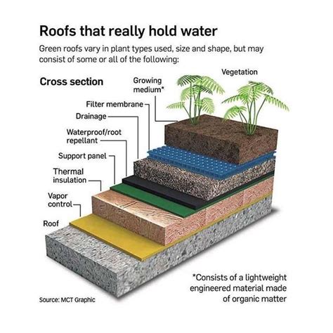 Types Of Green Roof Systems